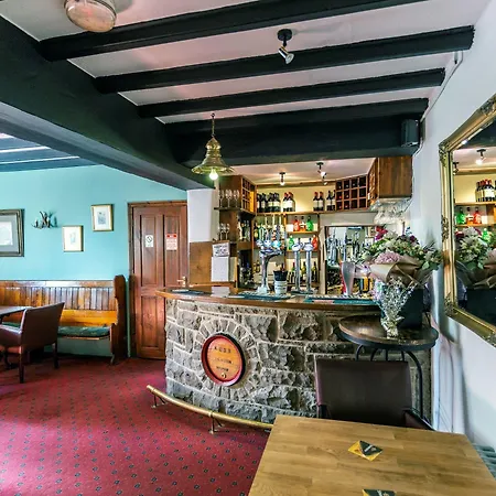 여관 Holly Hill 리치먼드