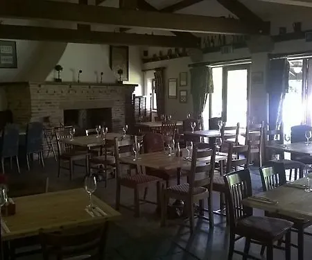 여관 Holly Hill 리치먼드